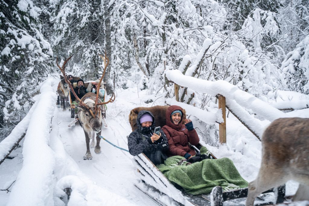 Husky and reindeer sled travelling through a snowy forest in Rovaniemi